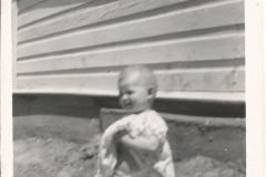 Sharon 6